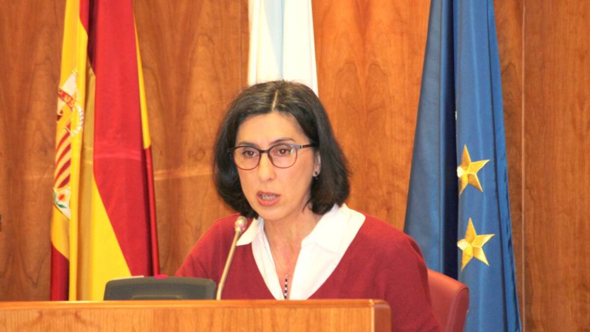 El pleno exige a la Xunta una zonificación escolar consensuada con la comunidad educativa