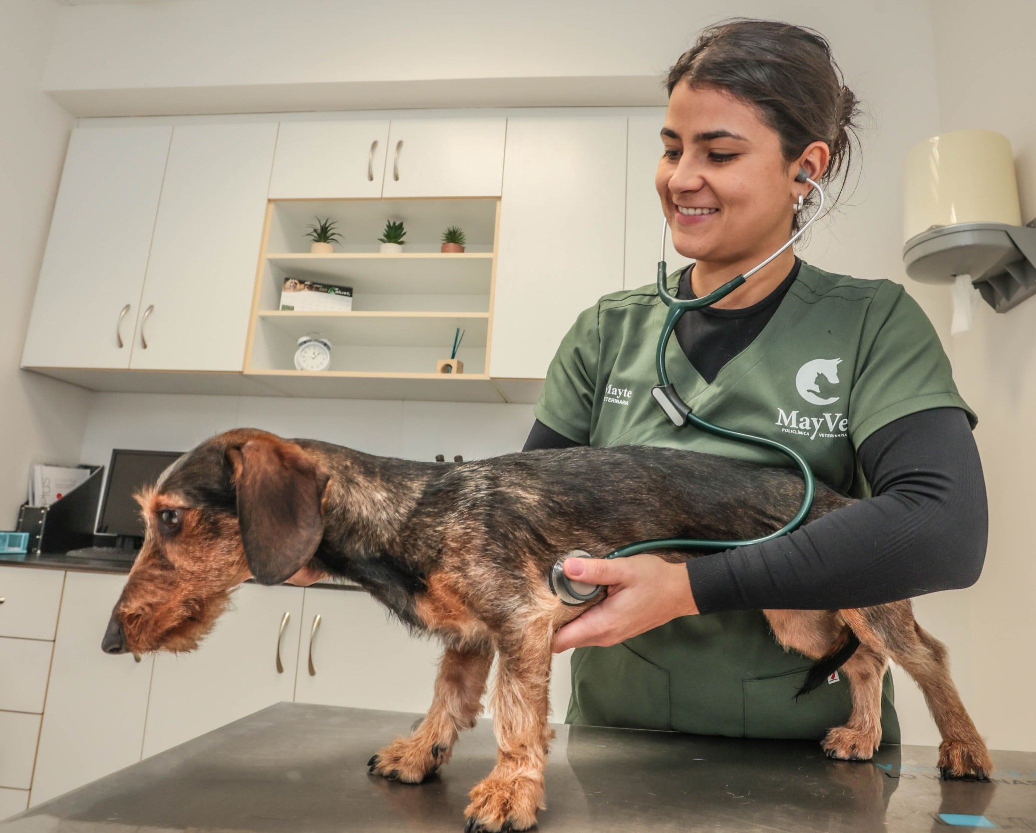 Mayte Carbonell (Policlínica Veterinaria)