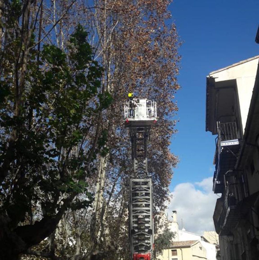 Intervención de los bomberos del parque de Cocentaina en esta localidad