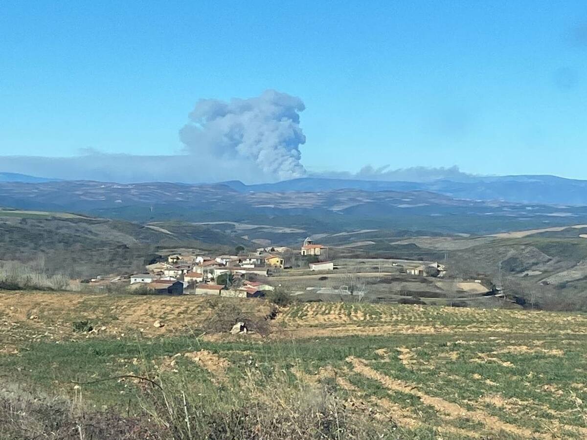 El alcalde de Hermisende reclama proyectos de aprovechamiento forestal para luchar contra el fuego