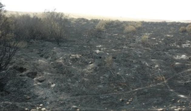 Incendio de turbas en 2009 en el Parque Nacional