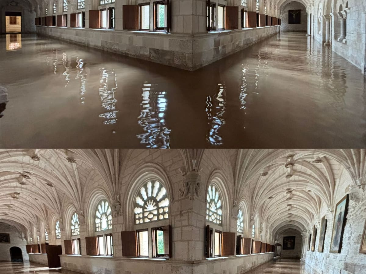 De aquellas aguas, estos lodos