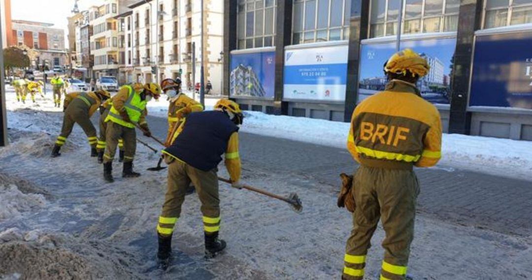 Brif de Lubia limpiando