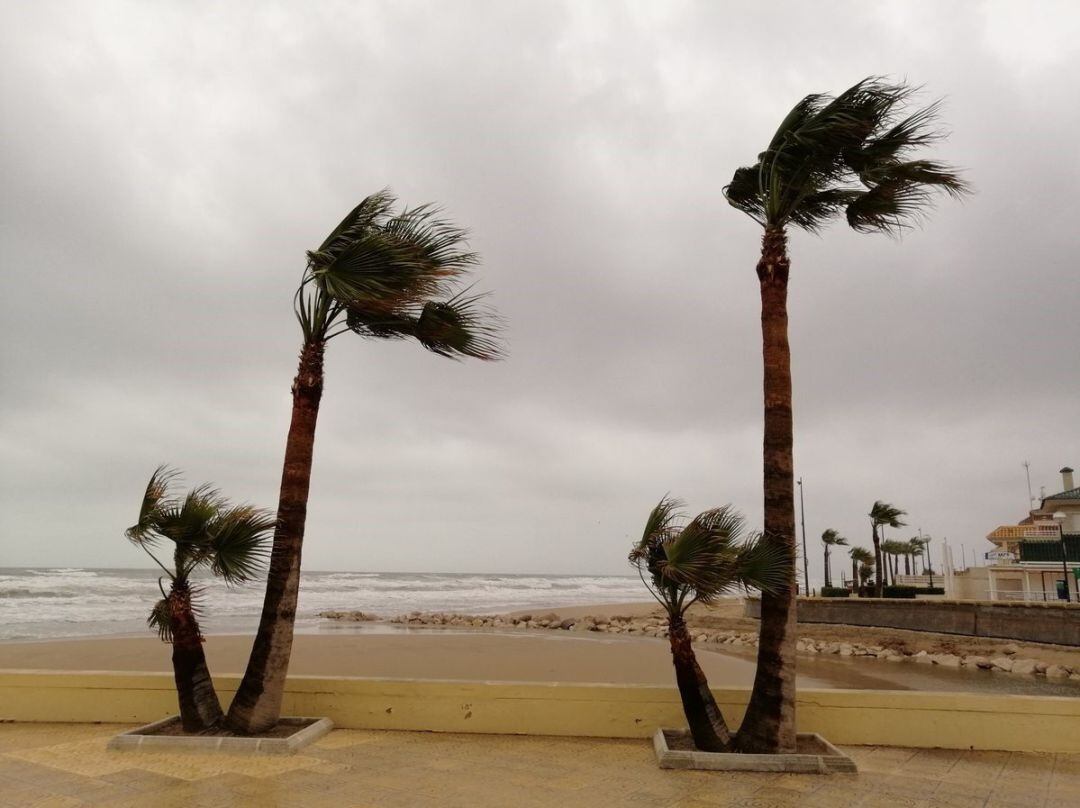 Vientos en el litoral 