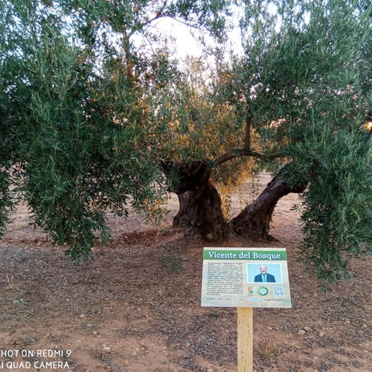 El Ecoparque por la Solidaridad y la Concordia de los Pueblos ubicado en Carboneros se inaugura el próximo 9 de mayo
