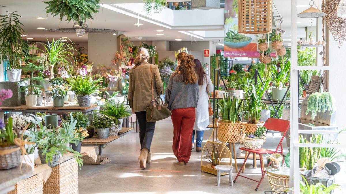 La Floristería Rebolledo, uno de los últimos reductos de jardinería urbana de España en Santander