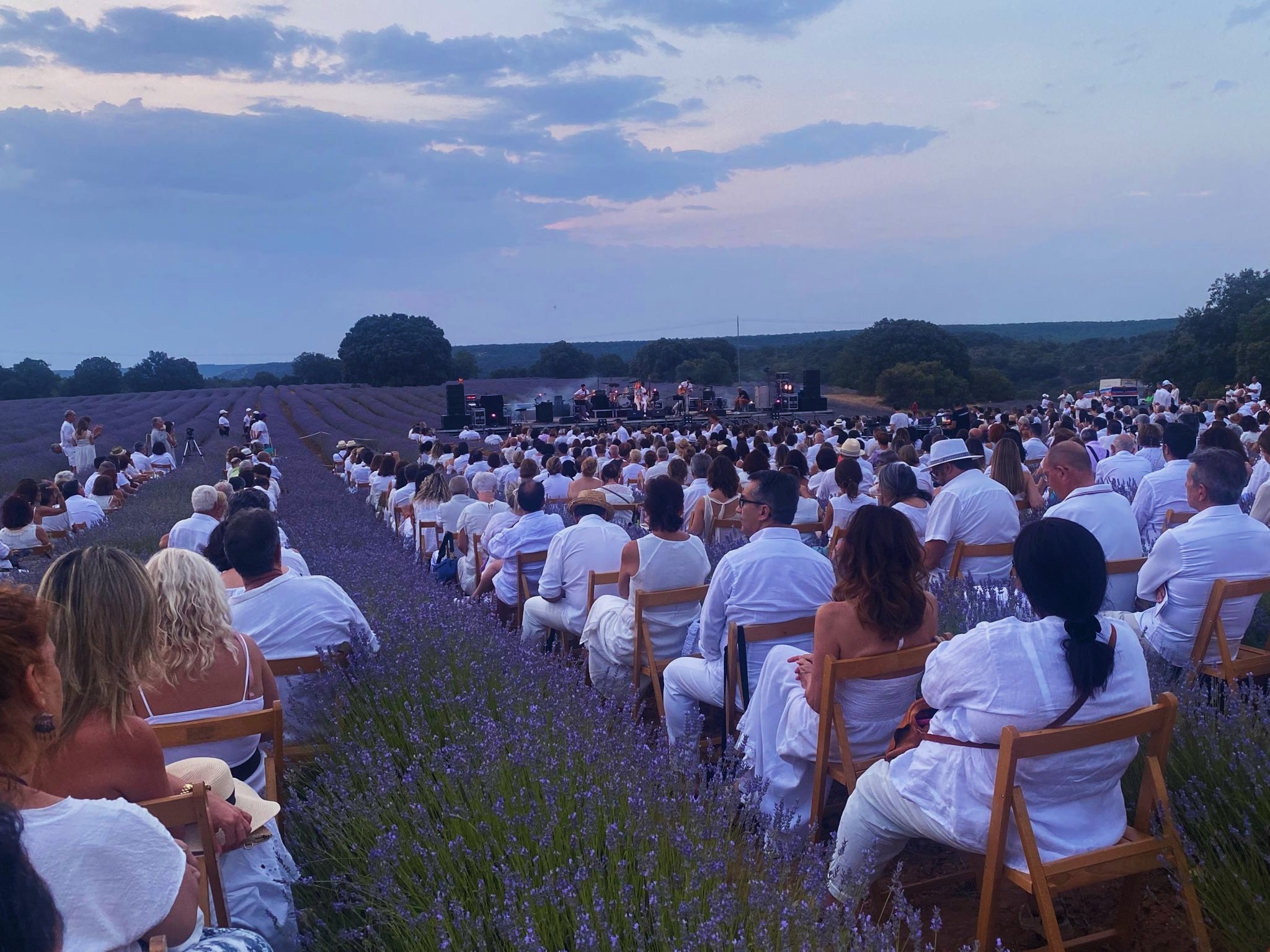 Imagen de archivo del Festival de la Lavanda 2022