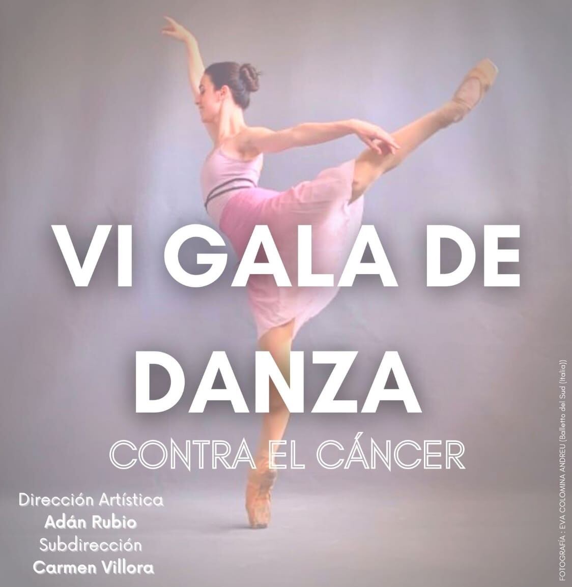 Cartel de al VI gala de Danza a beneficio de la Junta local Elda-Petre de AECC