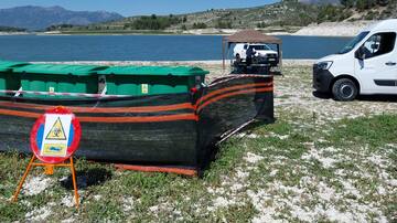 Cómo evitar que los peces muertos contaminen el agua de embalses de la Comunitat Valenciana