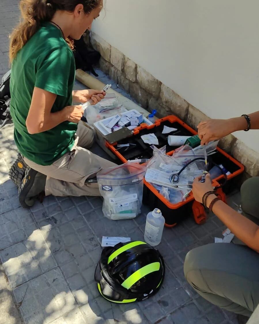 Captura del lince en Úbeda