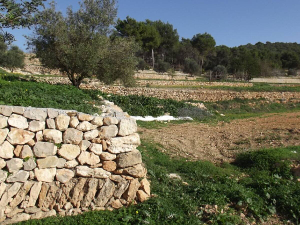 Santa Eulària destina 236.000 euros a la mejora de caminos rurales