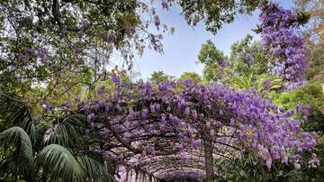 El botánico de La Concepción, origen de los jardines y parques de la Costa del Sol