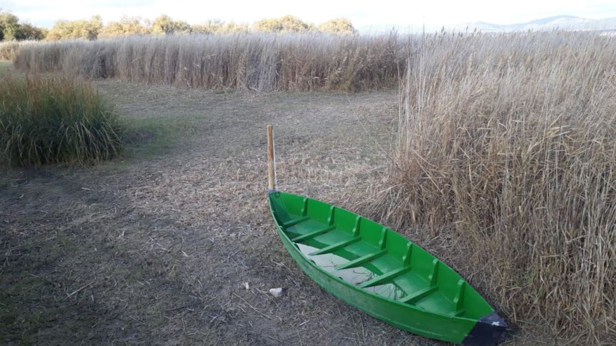 ¿Por qué ha subido tanto la temperatura en Ciudad Real?