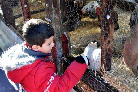 Los más pequeños disfrutan de la granja móvil