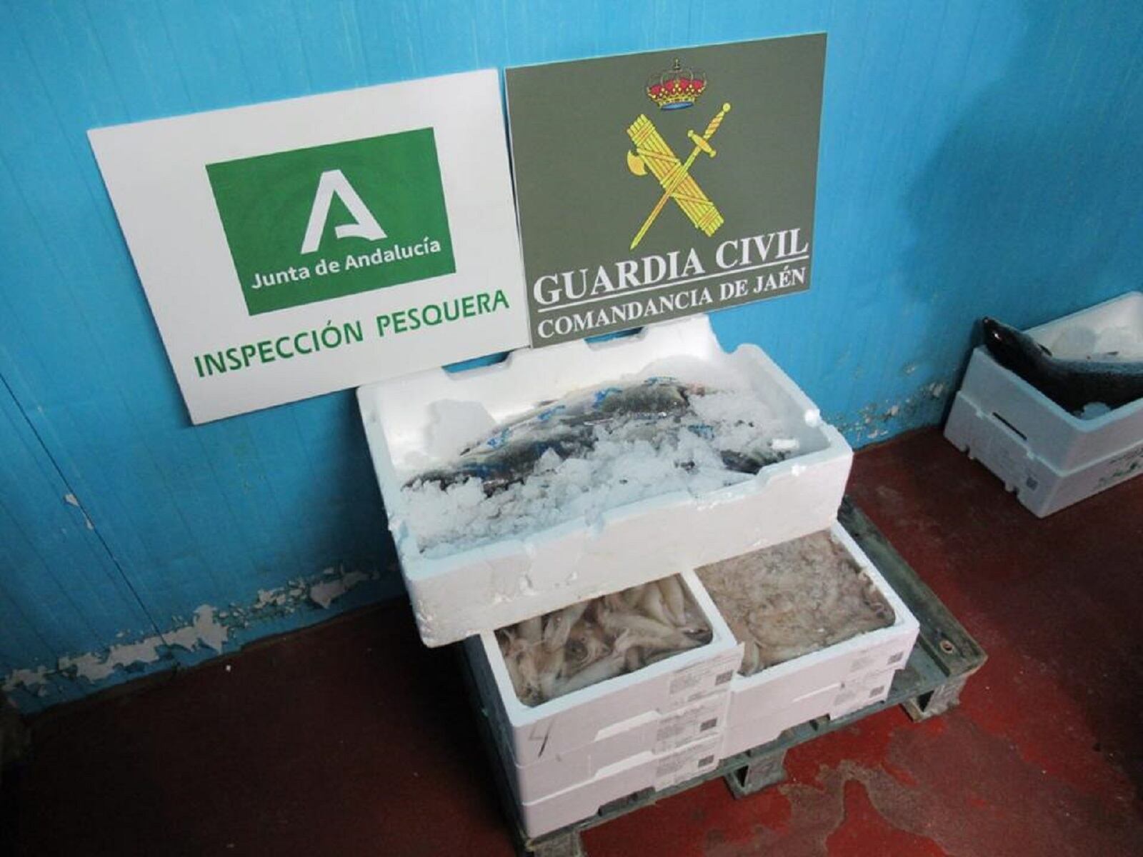 La Guardia Civil se ha incautado de 30 kilogramos de pescado no apto para el consumo en Jaén capital