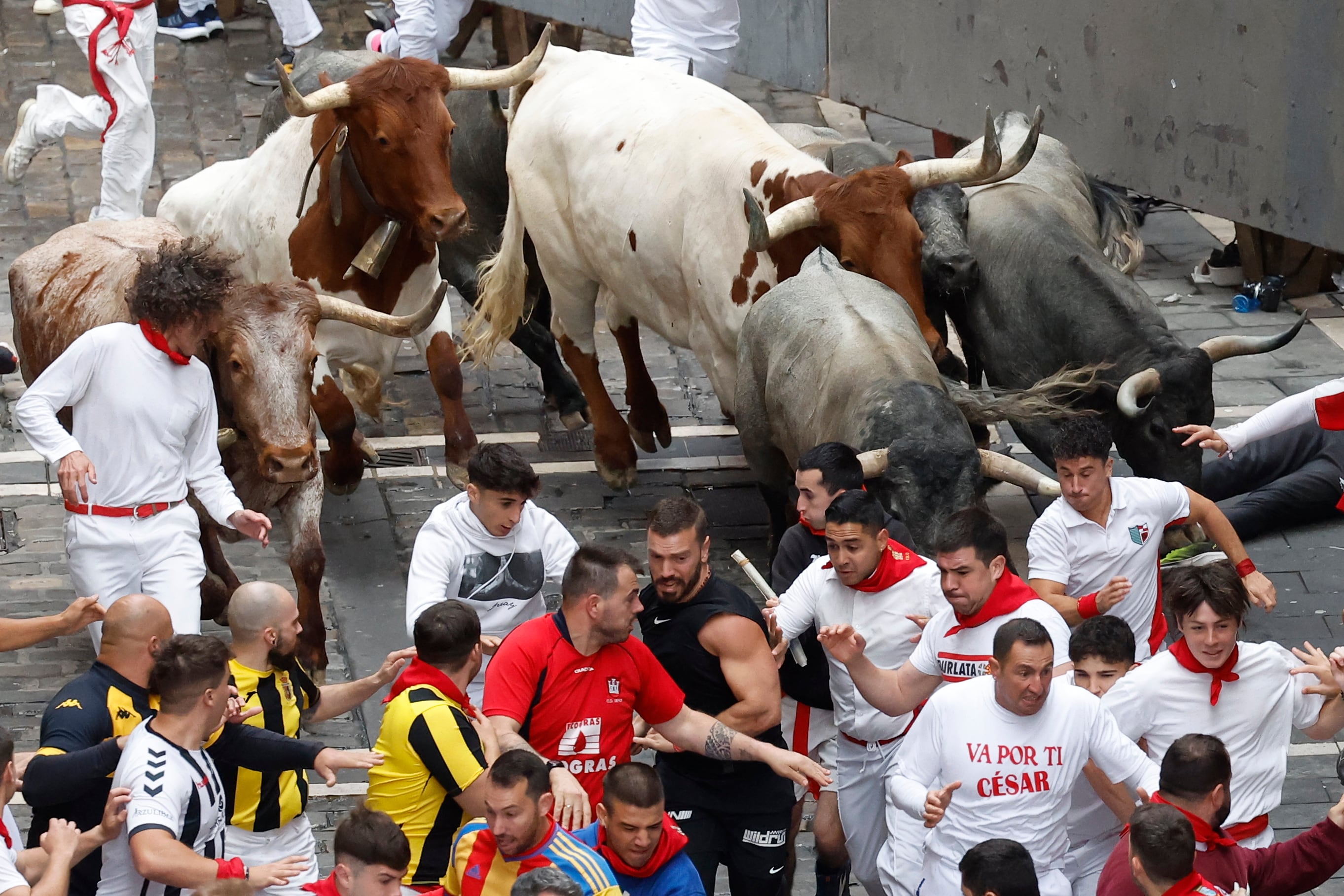 PAMPLONA, 13/07/2024.- Los mozos son perseguidos por los toros de la ganadería abulense de José Escolar Gil durante el séptimo encierro de los Sanfermines 2024 este sábado en Pamplona. EFE/Villar López
