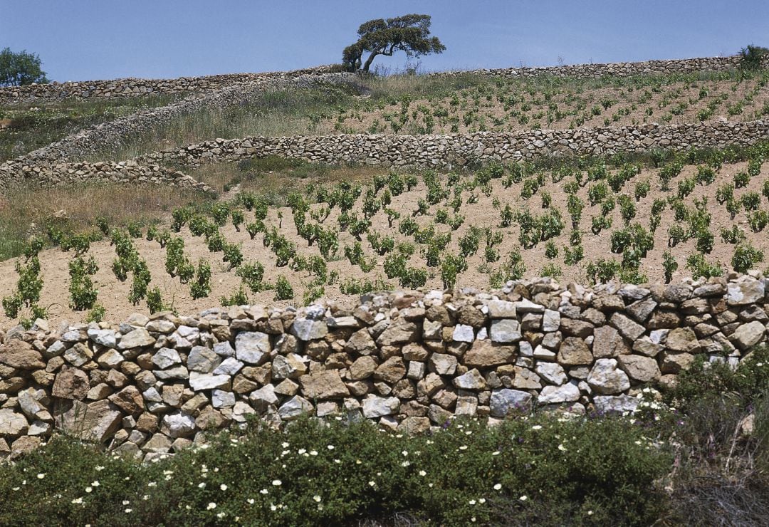 Muro en piedra seca