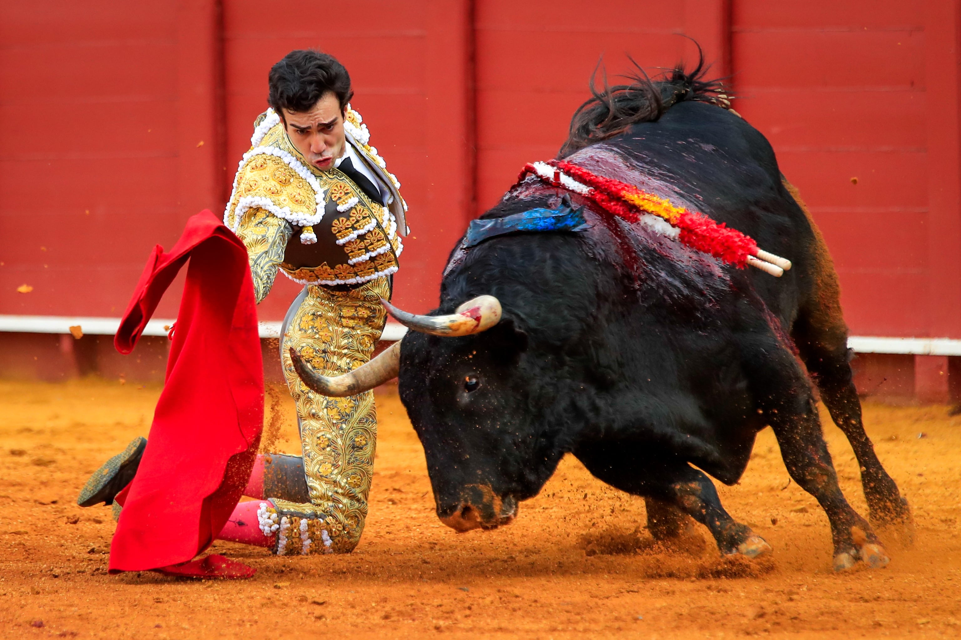 SEVILLA, 27/04/2023,- El torero Tomás Rufo en la su primer toro, de la ganadería de Jandilla-Vegahermosa, al que cortó dos orejas en la undécima corrida de abono de la Feria de Abril este jueves en la plaza de la Real Maestranza de Sevilla. EFE/ Julio Muñoz
