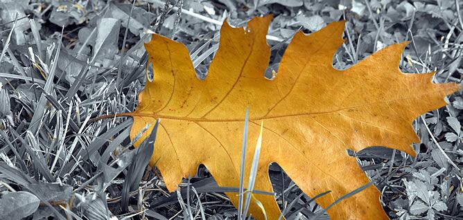 Las temperaturas nocturnas continúan descendiendo aunque moderadamente