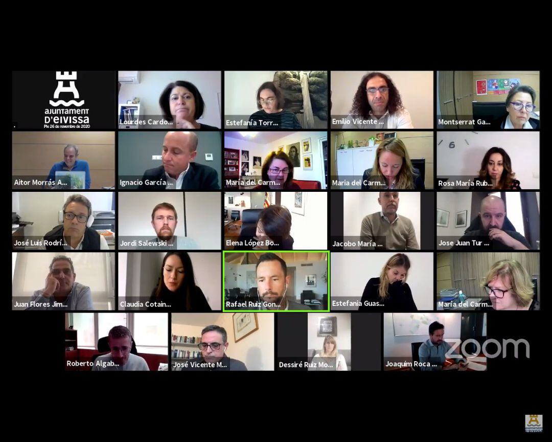 Imagen de la sesión plenaria celebrada por videoconferencia