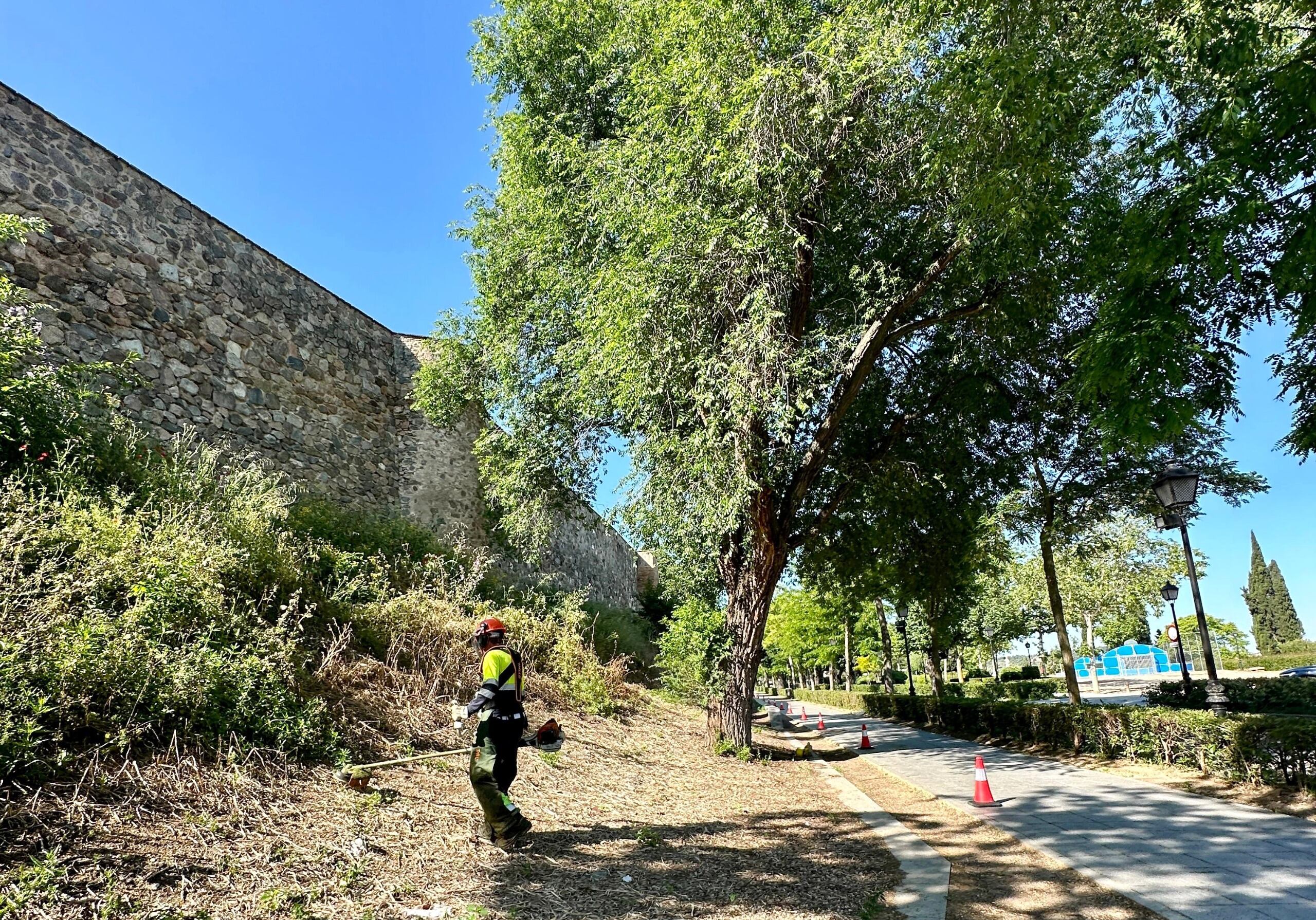 Imagen de un operario desbrozando parte del Paseo de Recaredo de Toledo