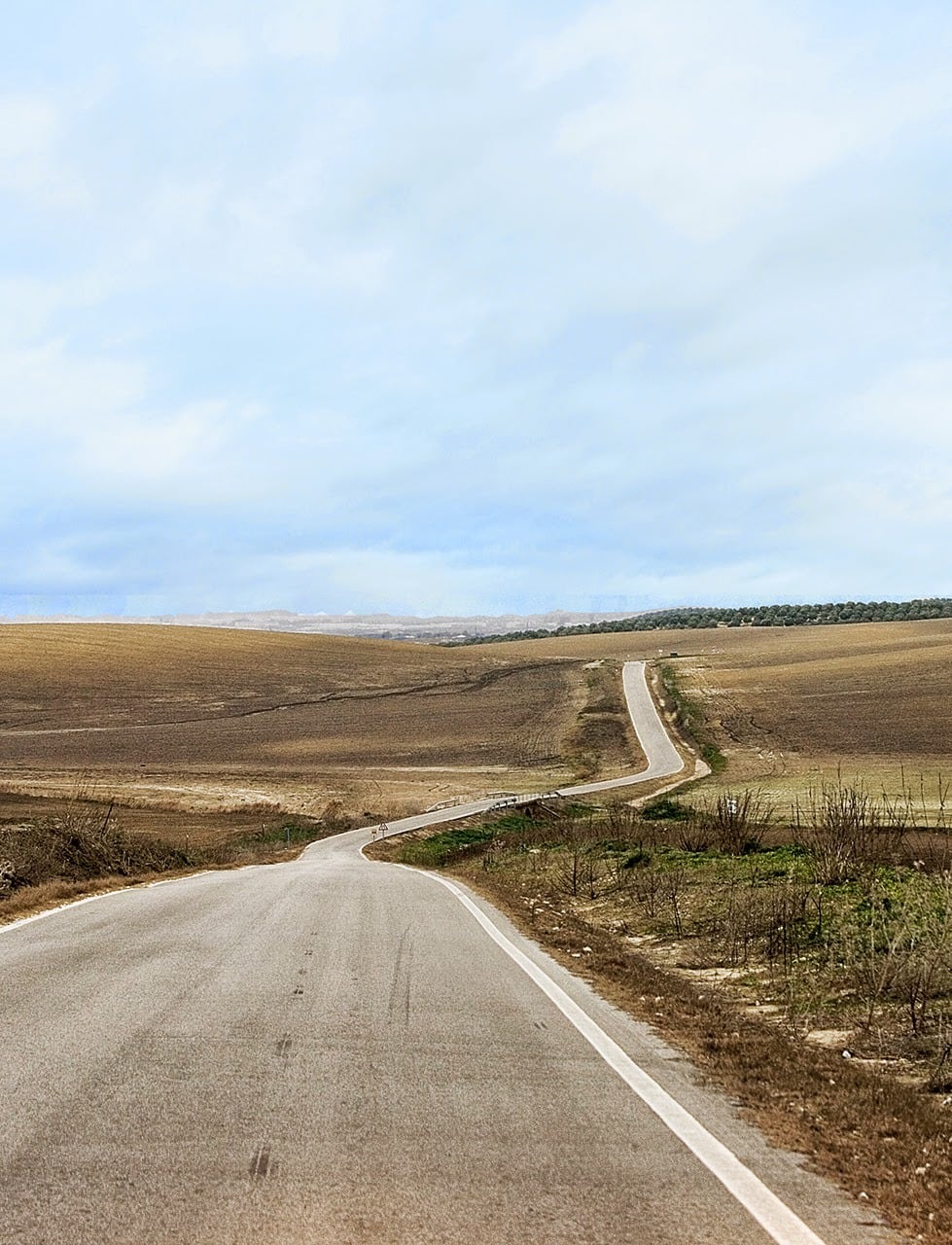 Recorrido por el camino del Rocío jerezano