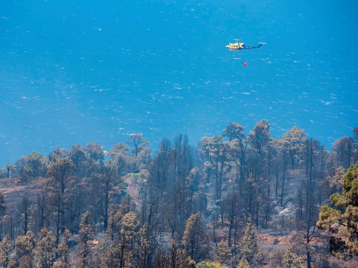El Gobierno declara controlado el incendio de Garafía