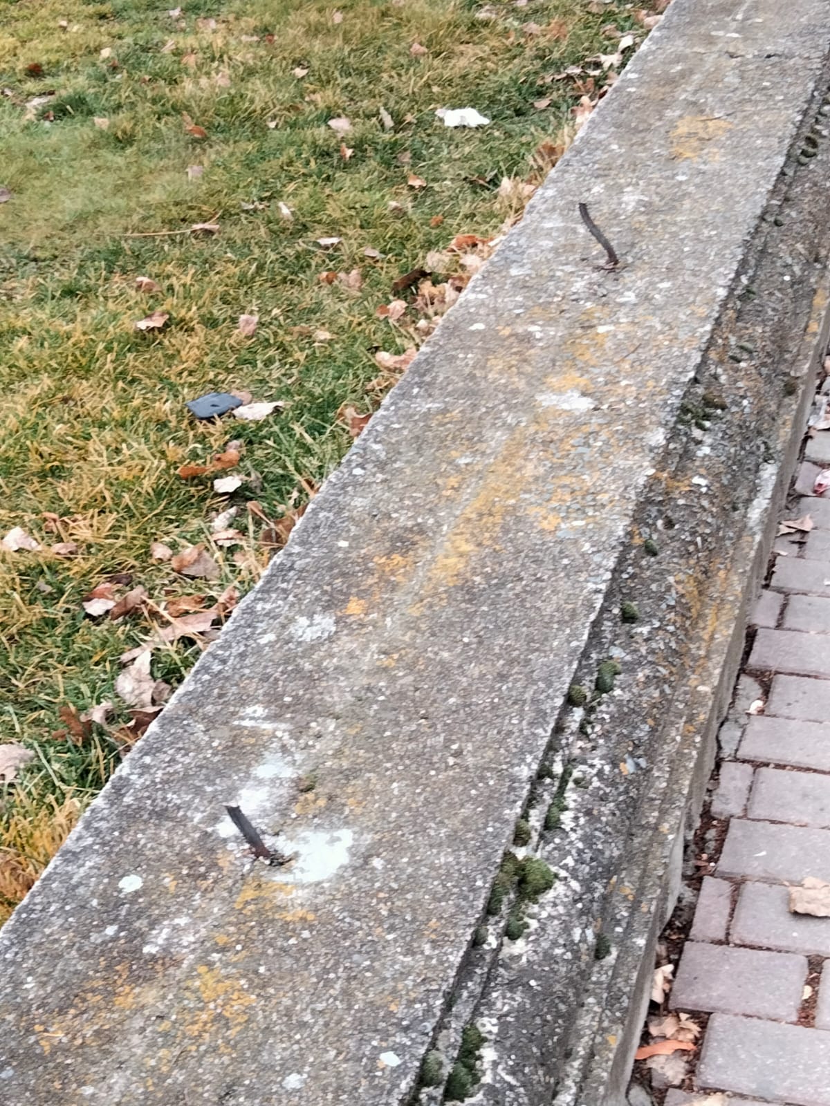 Hierros peligrosos en la valle del parque