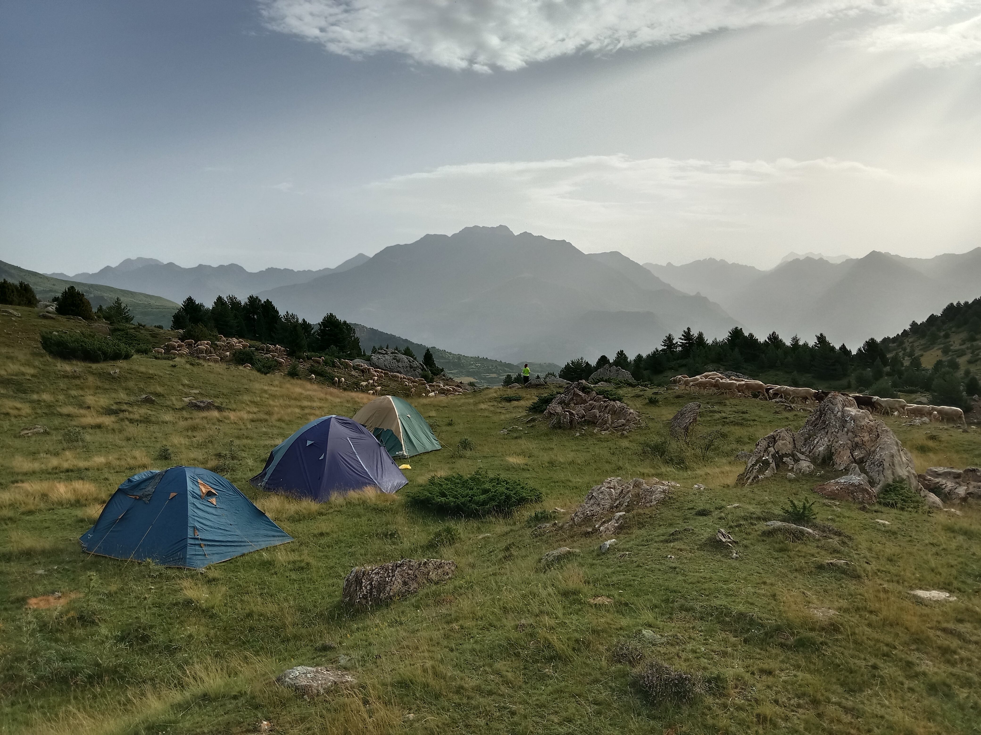 Desde el Centro Comarcal de Servicios Sociales, durante el mes de julio y parte de agosto se están realizando los cursos de inclusión laboral y educativa