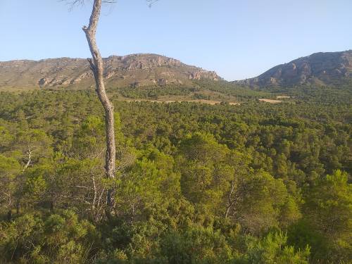 Paraje de la Toconera