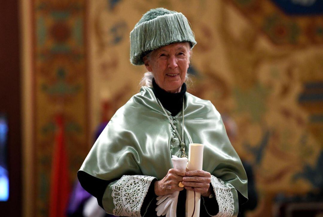 La primatòloga britànica Jane Goodall durant l'acte de la seva investidura com a doctora 'honoris causa' per la Universitat Complutense de Madrid l'any passat.