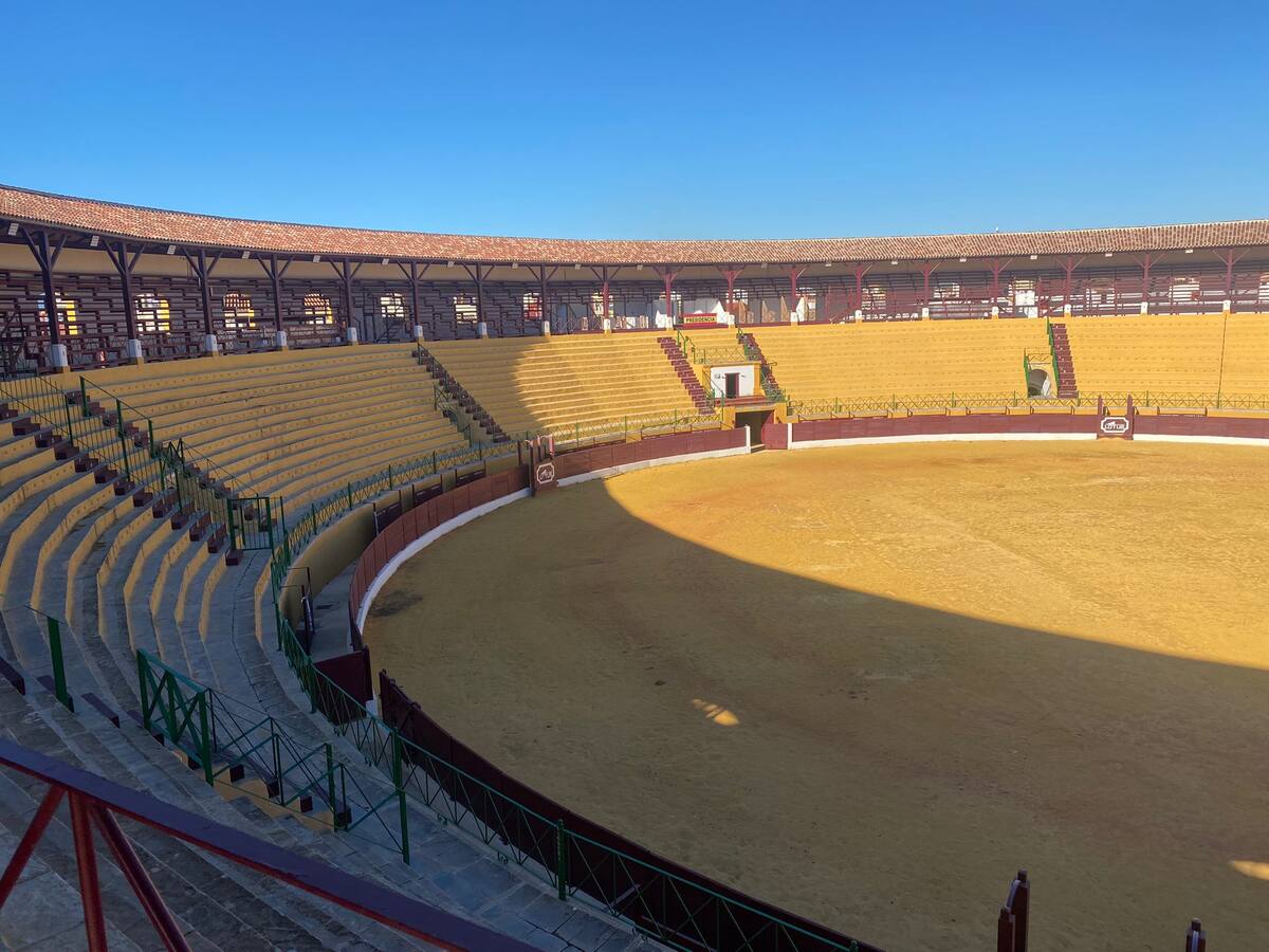 Adjudicada la redacción del proyecto para la musealización de El Arenal