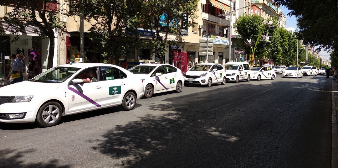 Taxis en la calle Roldán y Marín de la capital.