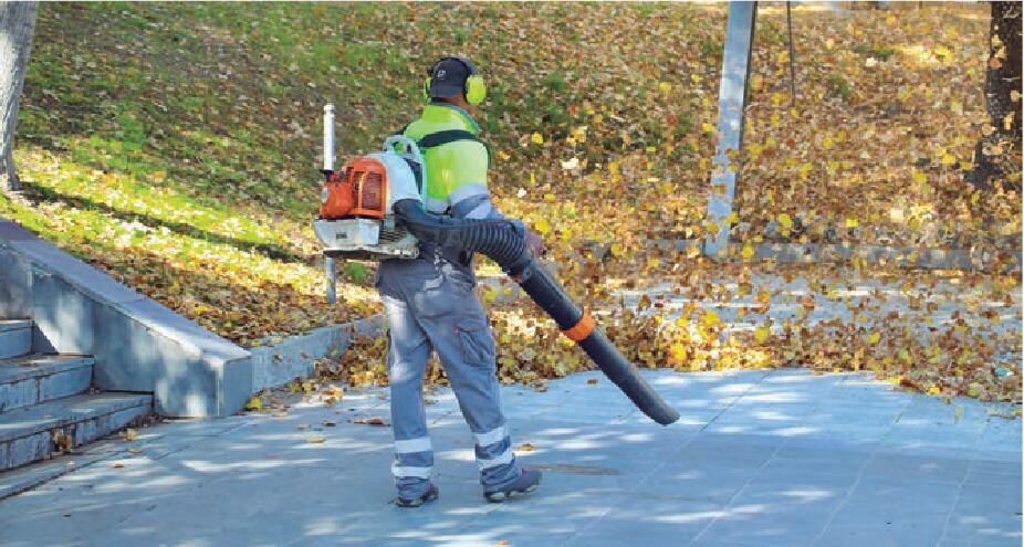 Trabajador del servicio de limpieza de Alcobendas en la campaña de recogida de hojas