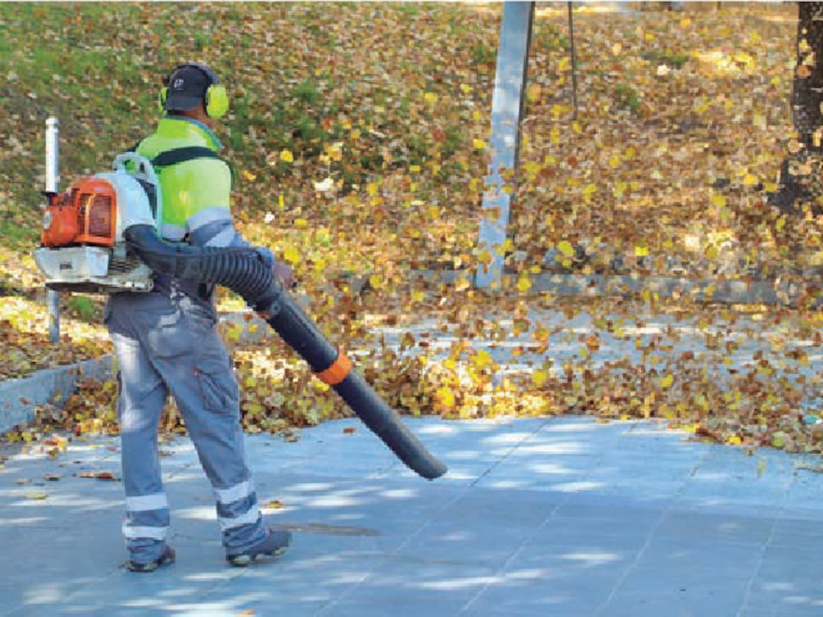 Recogidas en Alcobendas 230 toneladas de hojas en la campaña de refuerzo del servicio de limpieza