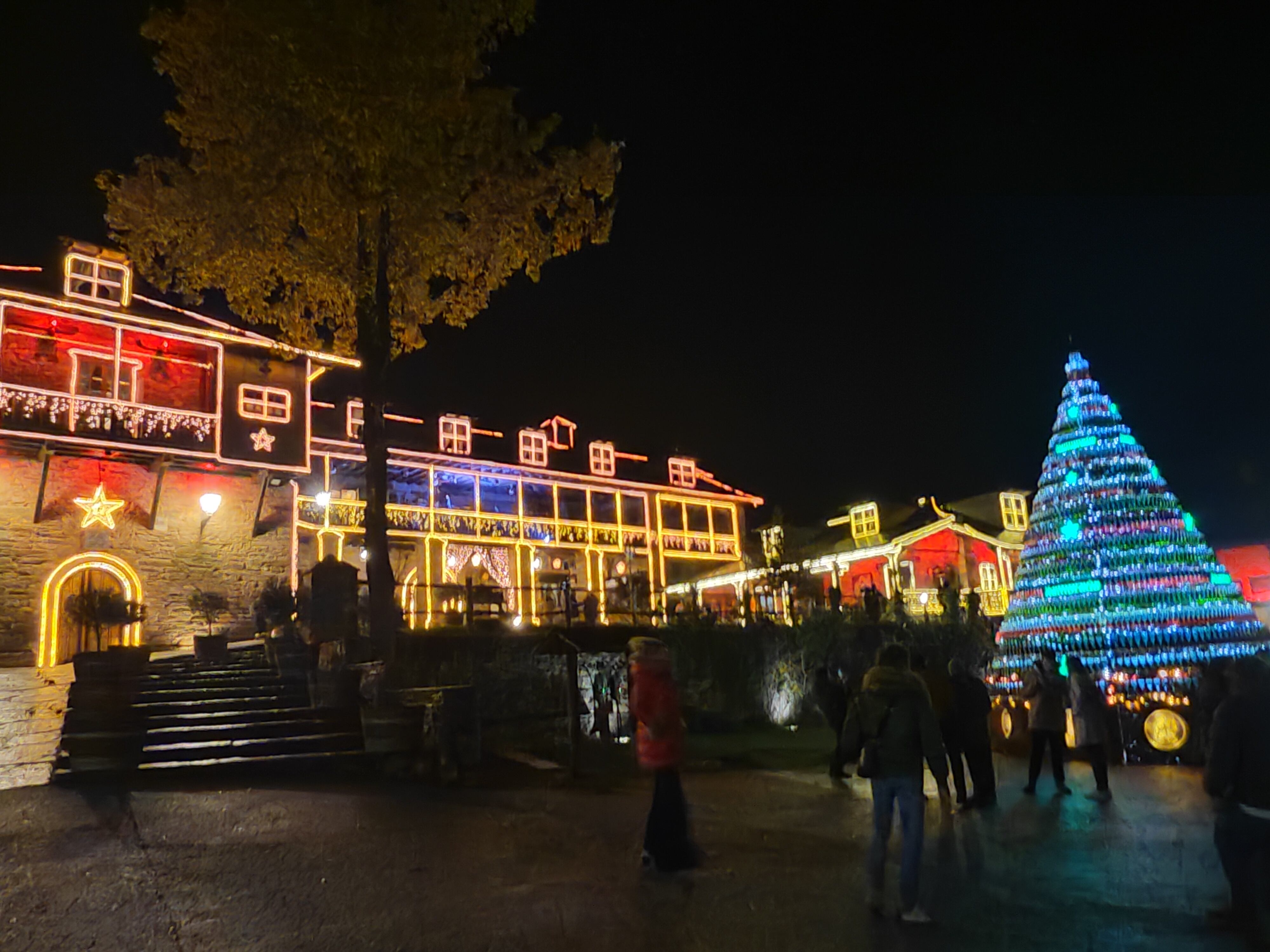 Iluminación navideña del Palacio de Canedo
