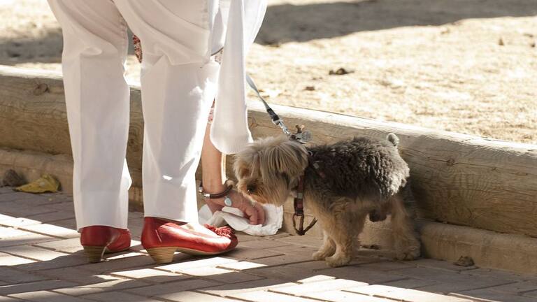 El número de animales de compañía, especialmente perros, se ha incrementado en los últimos tiempos