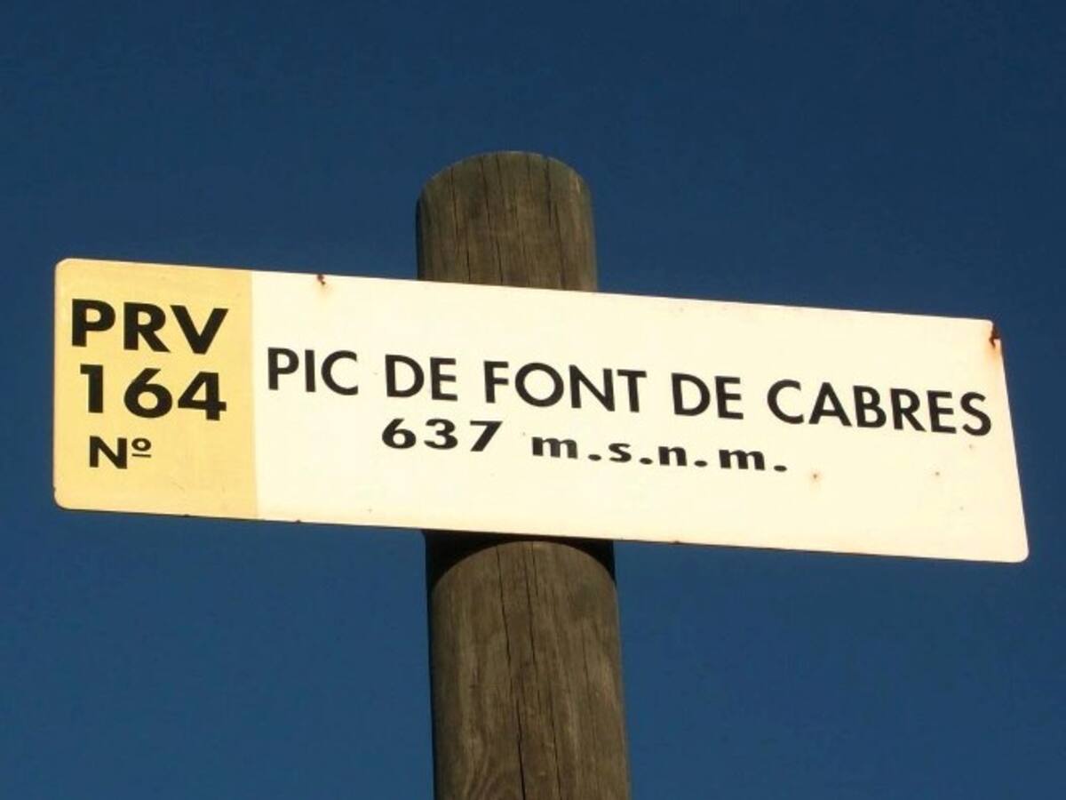 La IV edición de la 'Cursa Rodeno de Nules', un intenso paseo por la Sierra de Espadán