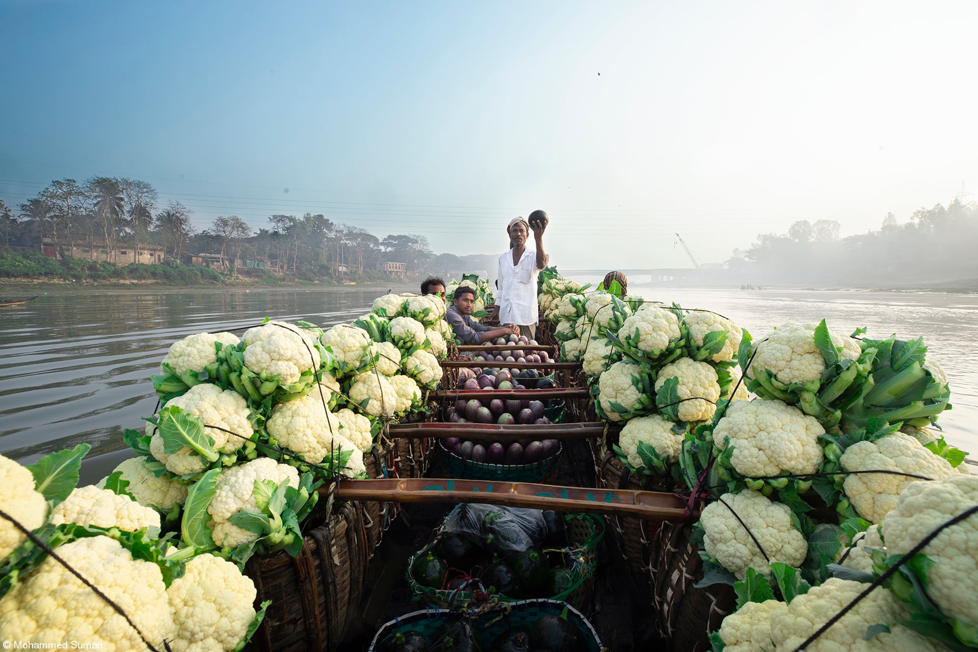 Transporte de comida.