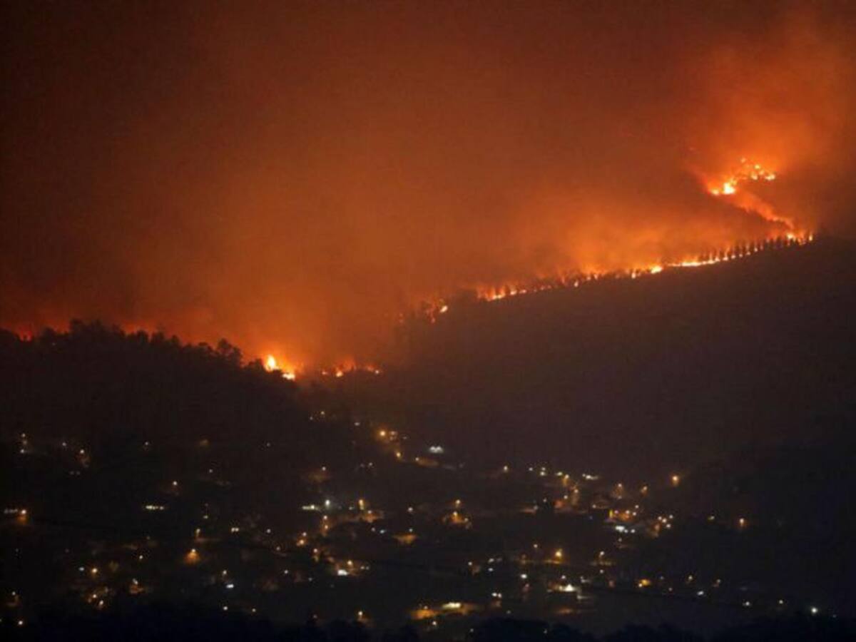 Los ingenieros de montes desmienten a la Junta
