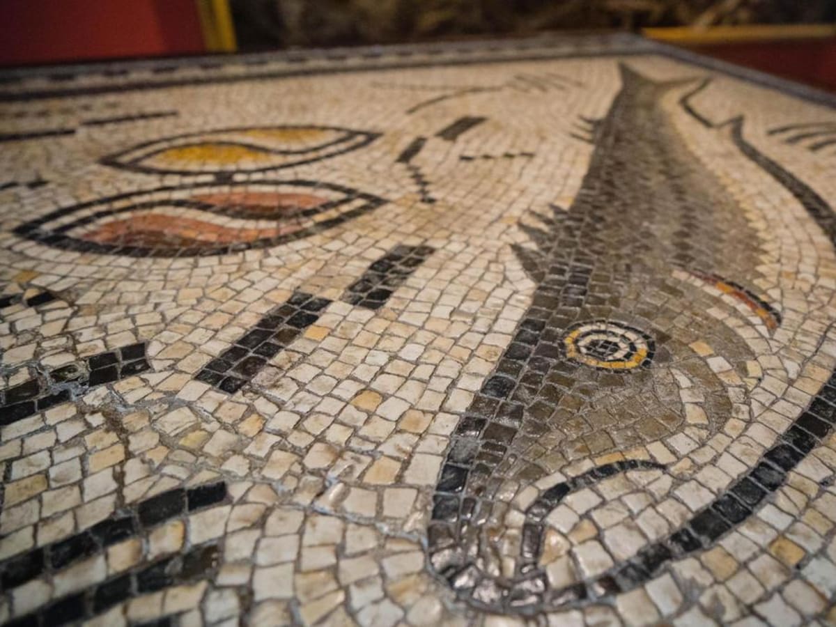 El mosaico romano de Panxón: el tesoro gallego perdido durante más de mil años que volvió a casa