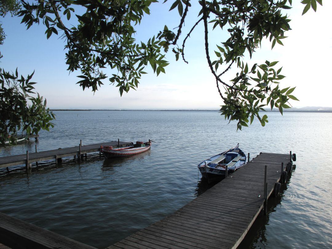 L&#039;Albufera de València. (Archivo)