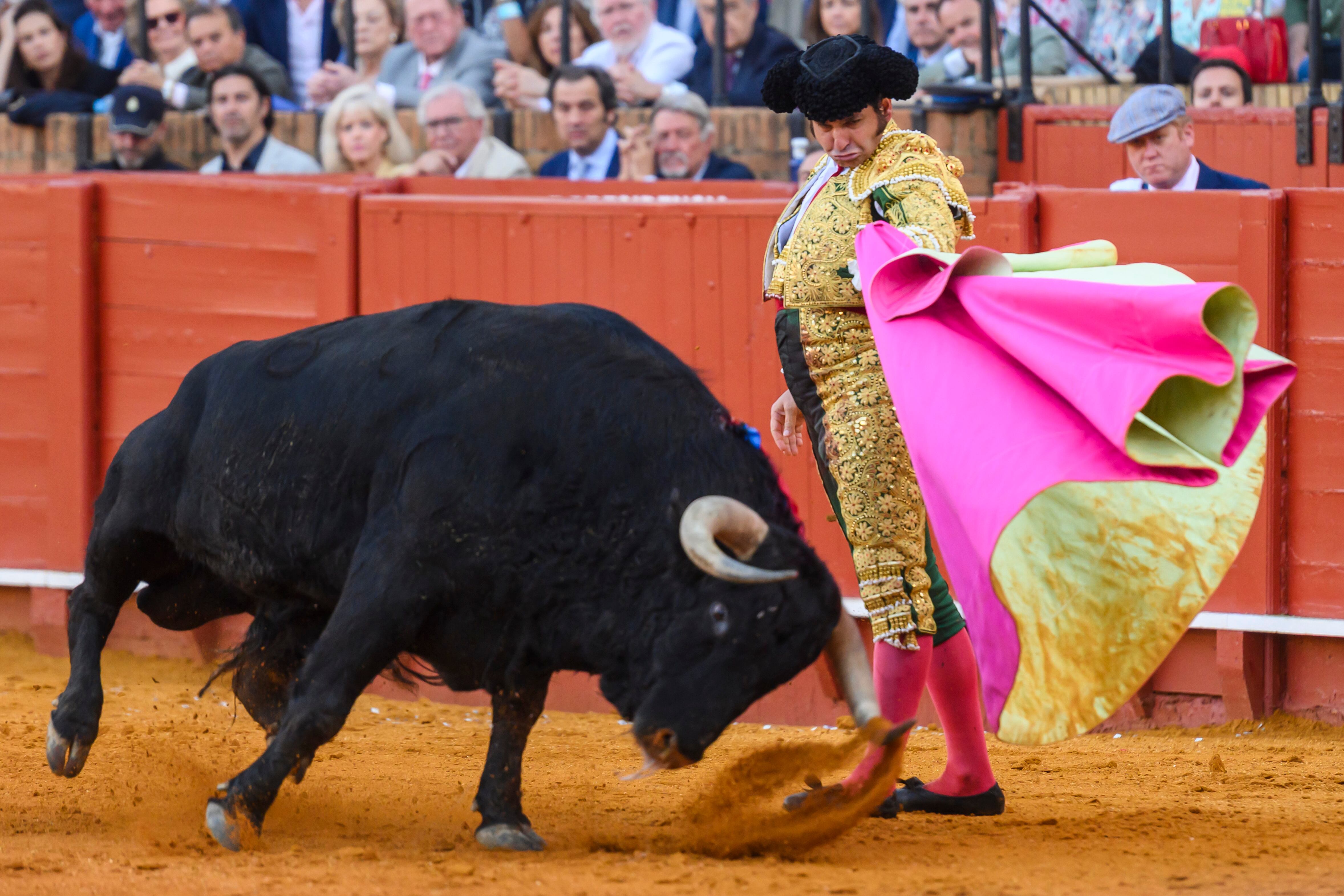 SEVILLA. 01/05/2025.- El diestro Morante de La Puebla da un pase con el capote al segundo de su lote, al que ha cortado dos orejas, durante el sexto festejo de abono que se celebra hoy jueves en La Real Maestranza de Sevilla. EFE/Raúl Caro