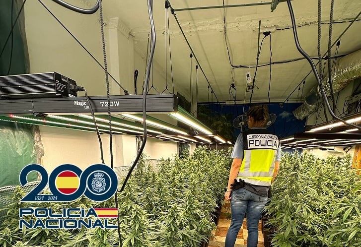 Cultivo con plantas de marihuana en Vélez-Málaga / Policía Nacional