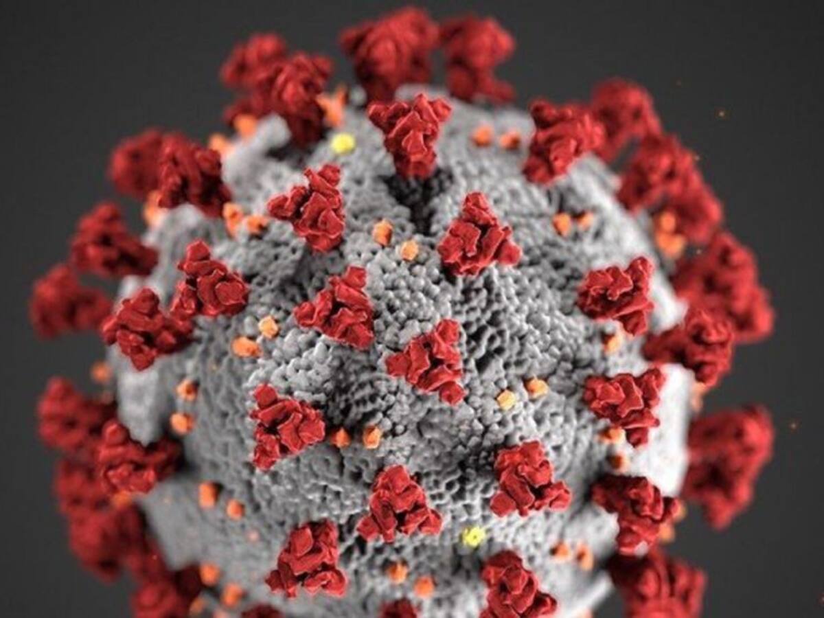 Coronavirus en Ávila: El 77% de las víctimas de Covid-19 tenía más de 80 años