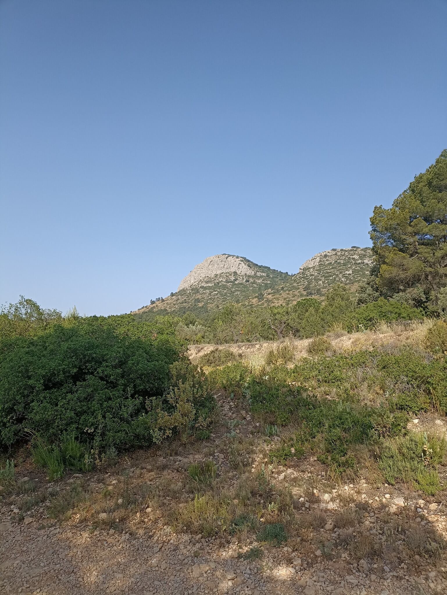 Marcha intercomarcal