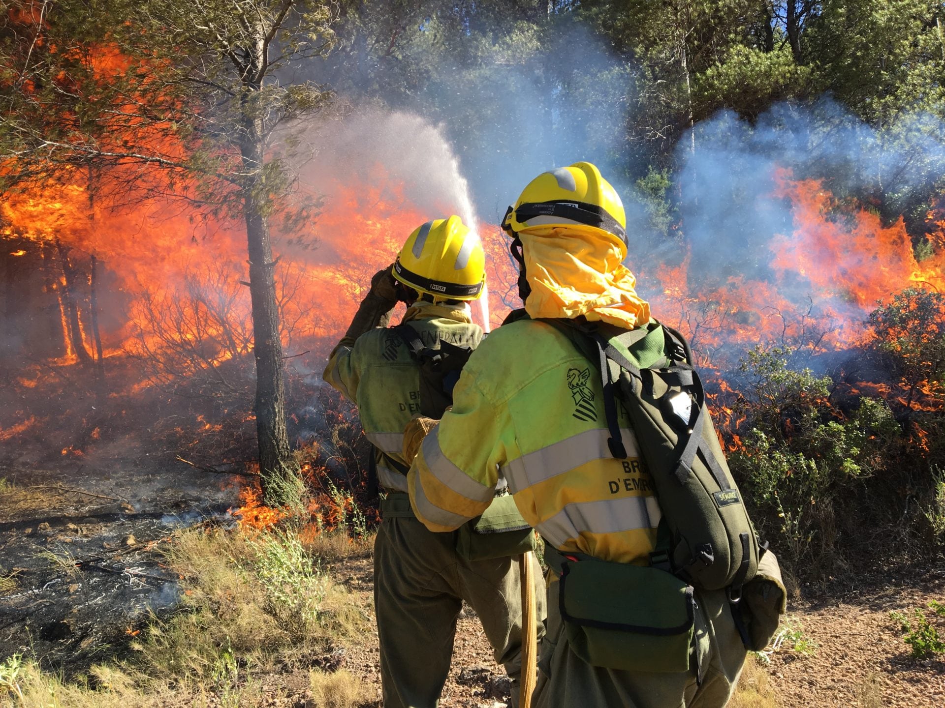 Bomberos forestales en una imagen de archivo