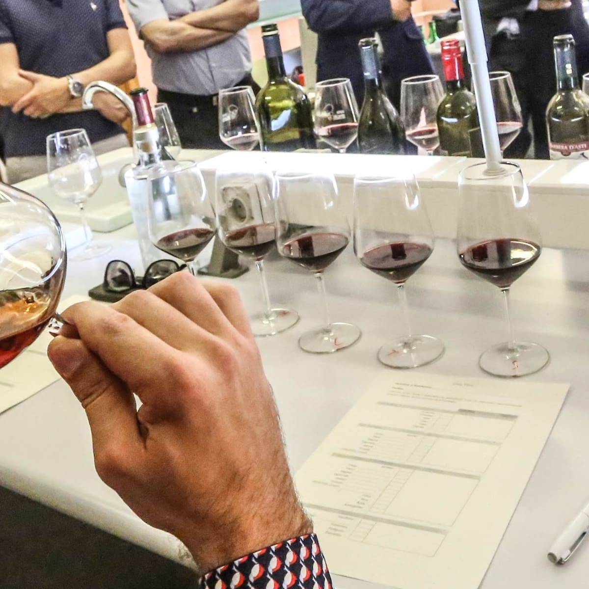 Petrer apuesta por el vino como eje de su oferta turística de otoño con catas comarcales en su Oficina de Turismo