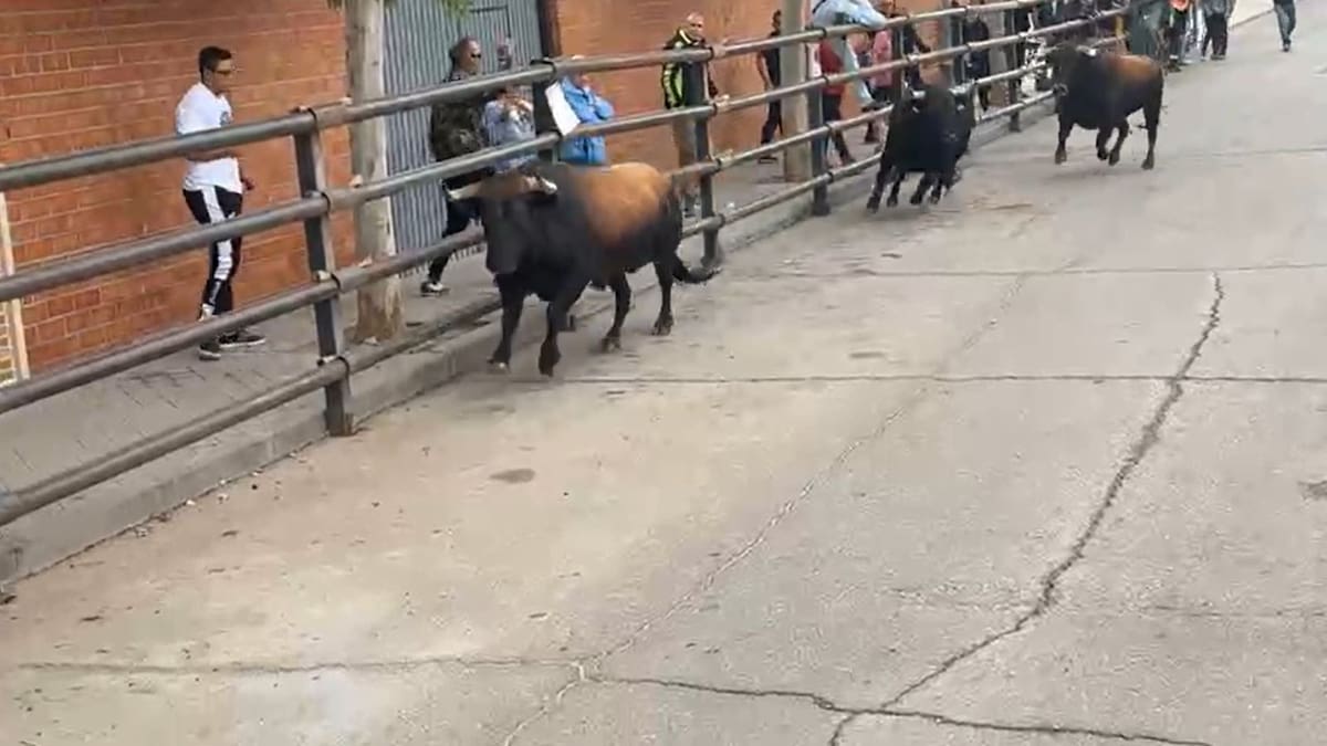 Un fallecido y varios heridos al escaparse un novillo en un encierro en Pantoja (Toledo)