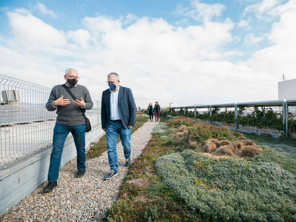 Nuevo paso para convertir terrazas en jardines en Gandia